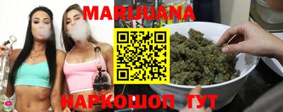 прущие грибы Будённовск
