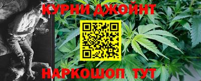 прущие грибы Будённовск