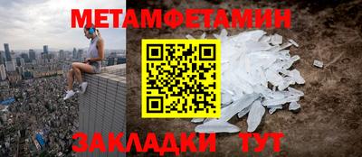 прущие грибы Будённовск