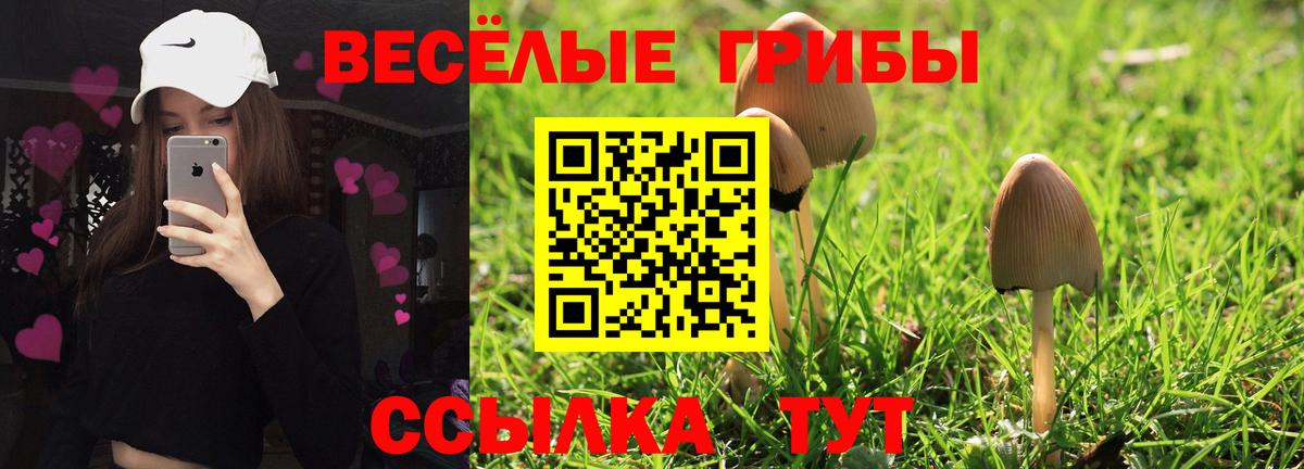 Псилоцибиновые грибы мицелий Буйнакск
