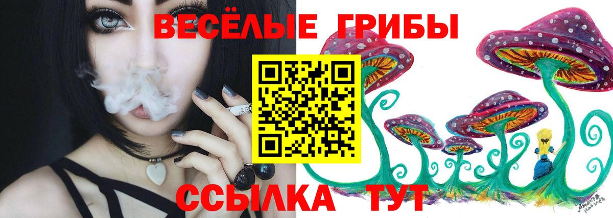 Псилоцибиновые грибы прущие грибы  Галлюциногенные грибы GOLDEN TEACHER  Буйнакск  Вход с VPN 
